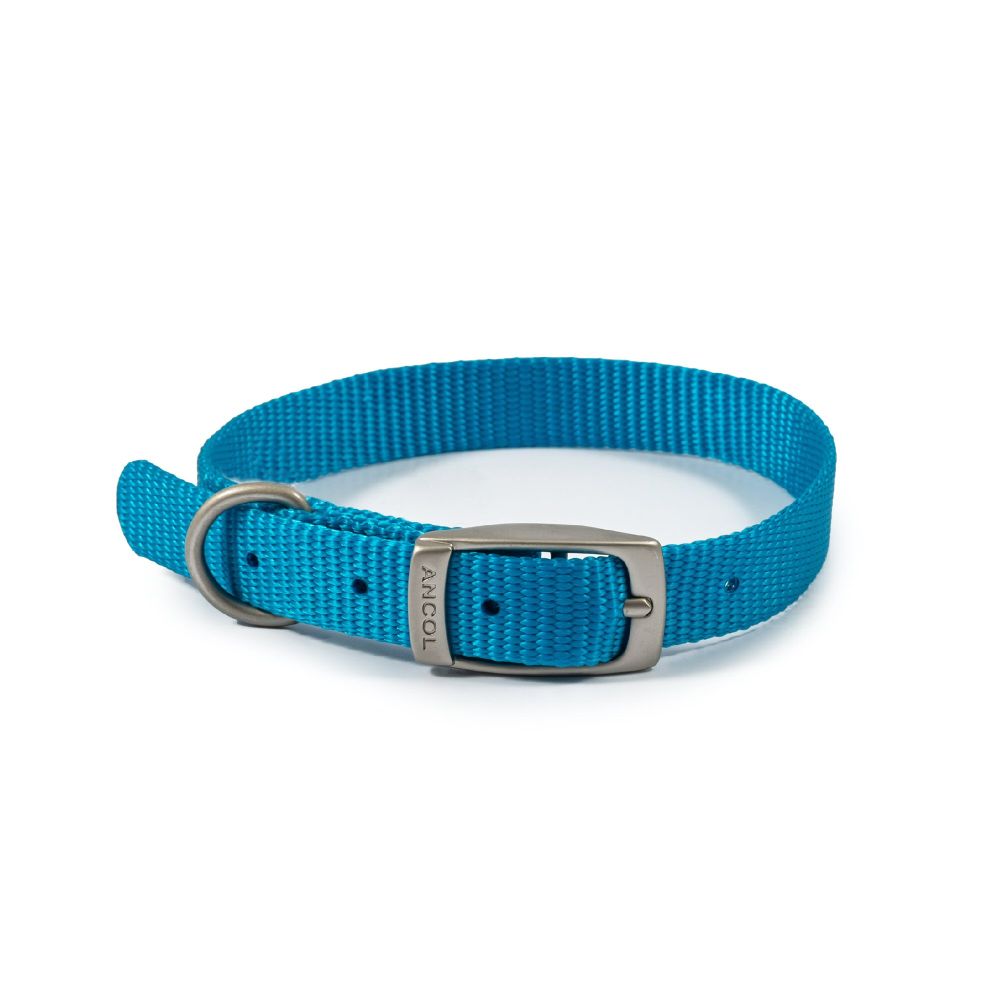 Ancol Viva Nylon Puppy Collar Wth Buckle Weatherproof Size 1 20