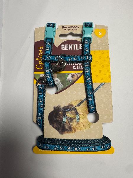 S A HARNESS & LEAD PAWPRINT SM