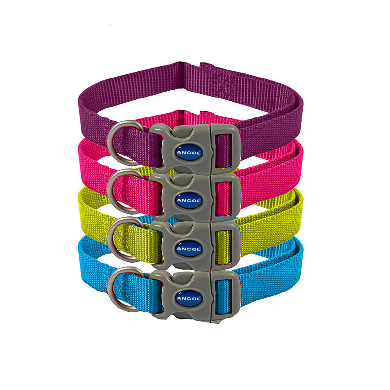 Ancol Heritage Nylon Adjustable Reflective Collar Purple 45 - 70cm - Monster Pet Supplies
