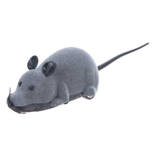 2x Rosewood Brown Jolly Moggy Silvervine Spider Pet/ ...