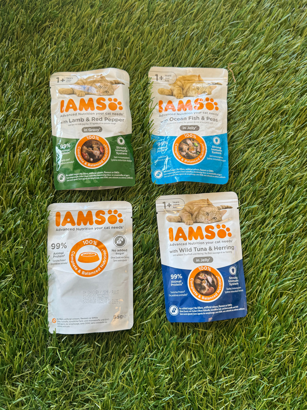 IAMS WET CAT FOOD
