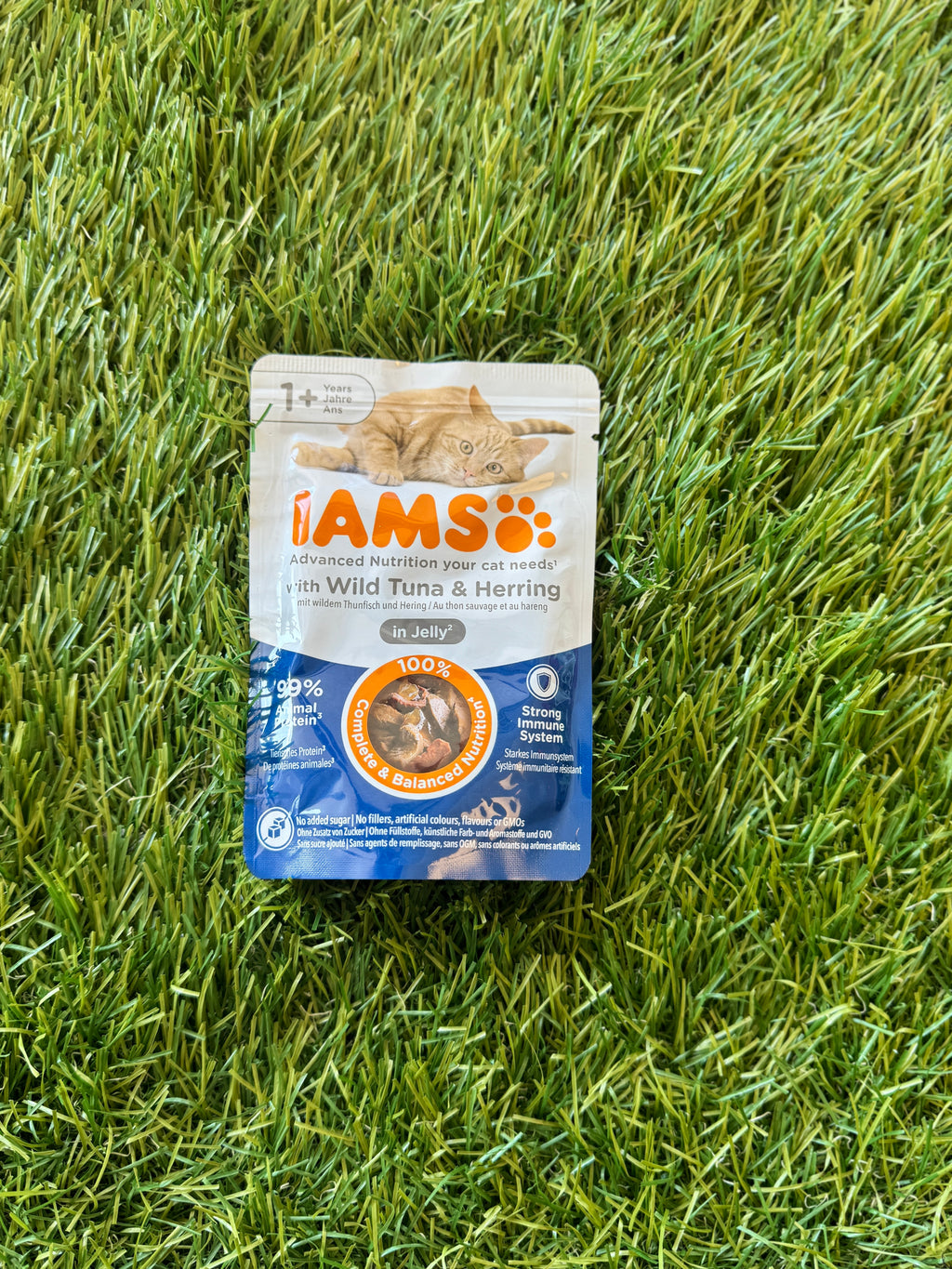 IAMS WET CAT FOOD
