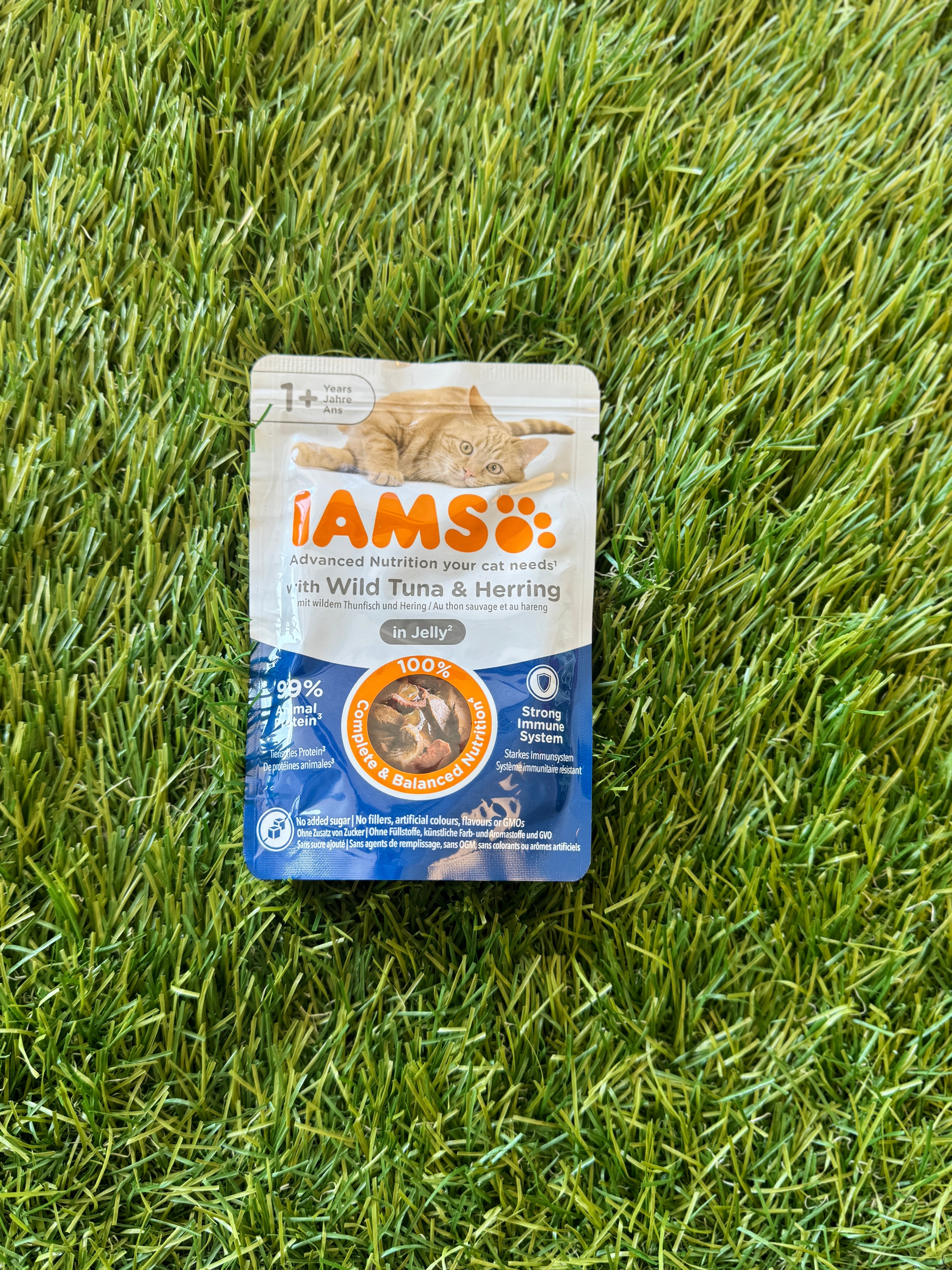 IAMS WET CAT FOOD