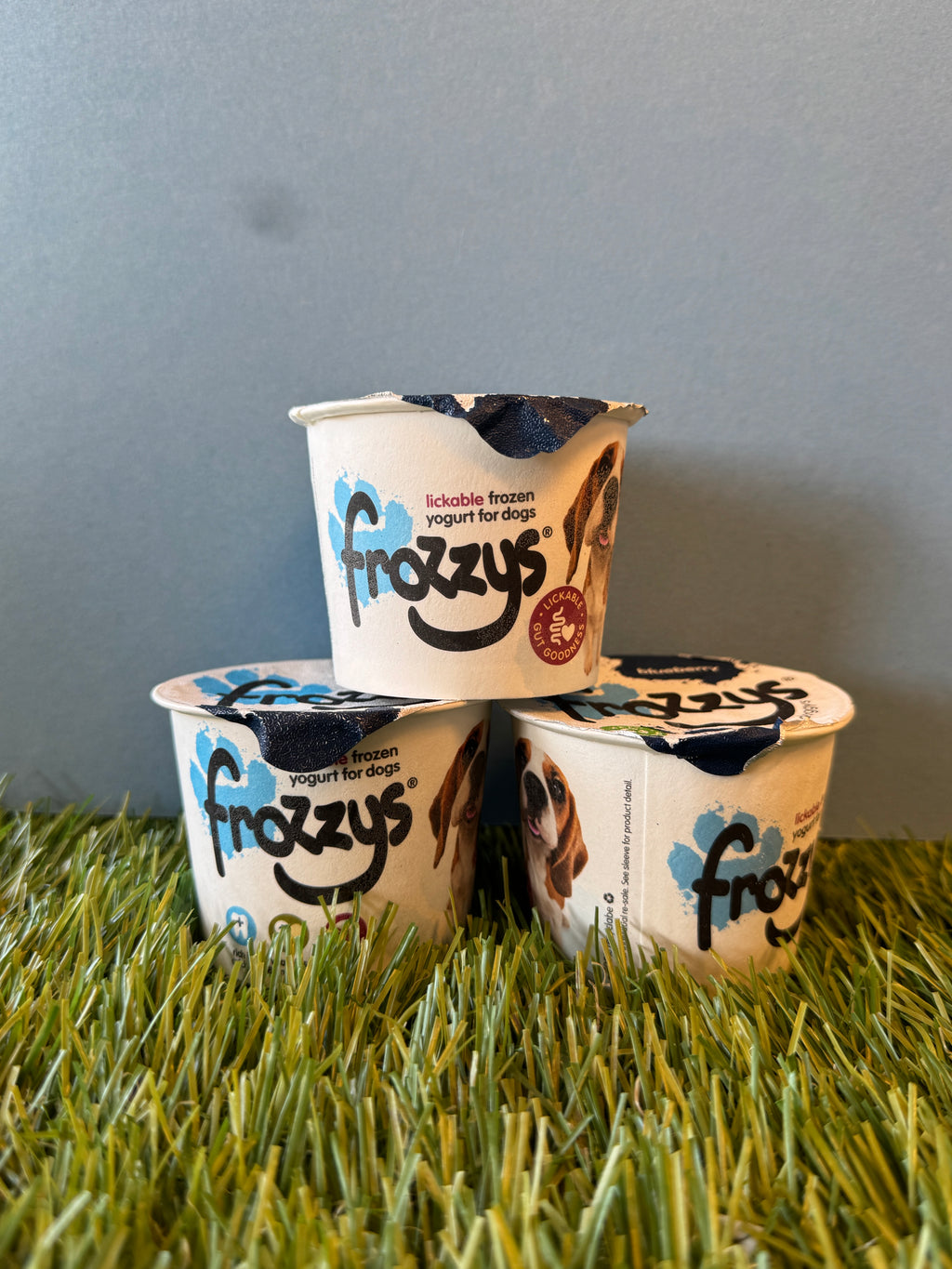 Frozzys Blueberry Frozen Yogurt for Dogs