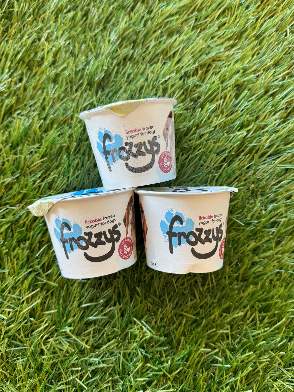 Frozzys original frozen yogurt for dogs