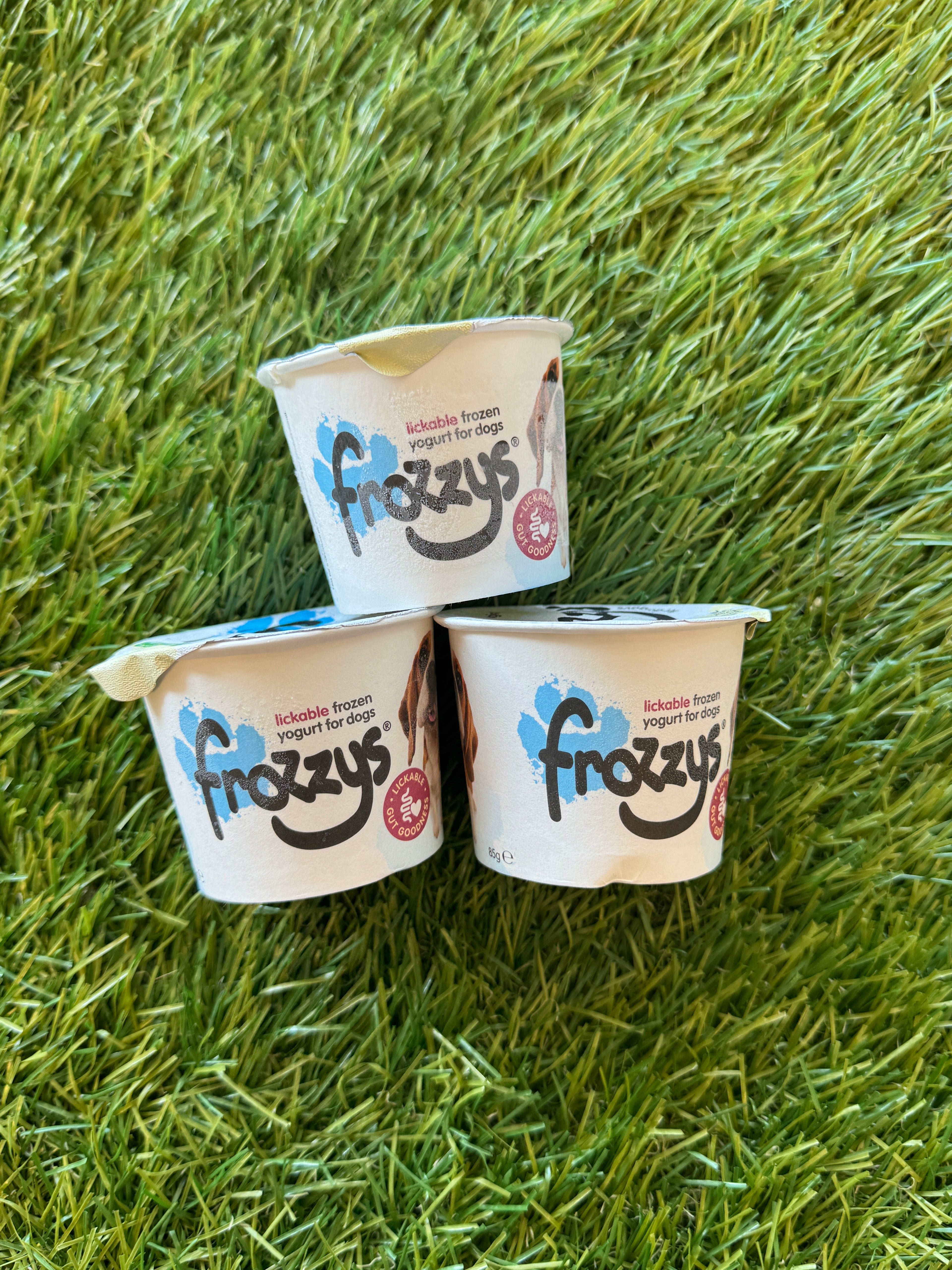 Frozzys original frozen yogurt for dogs
