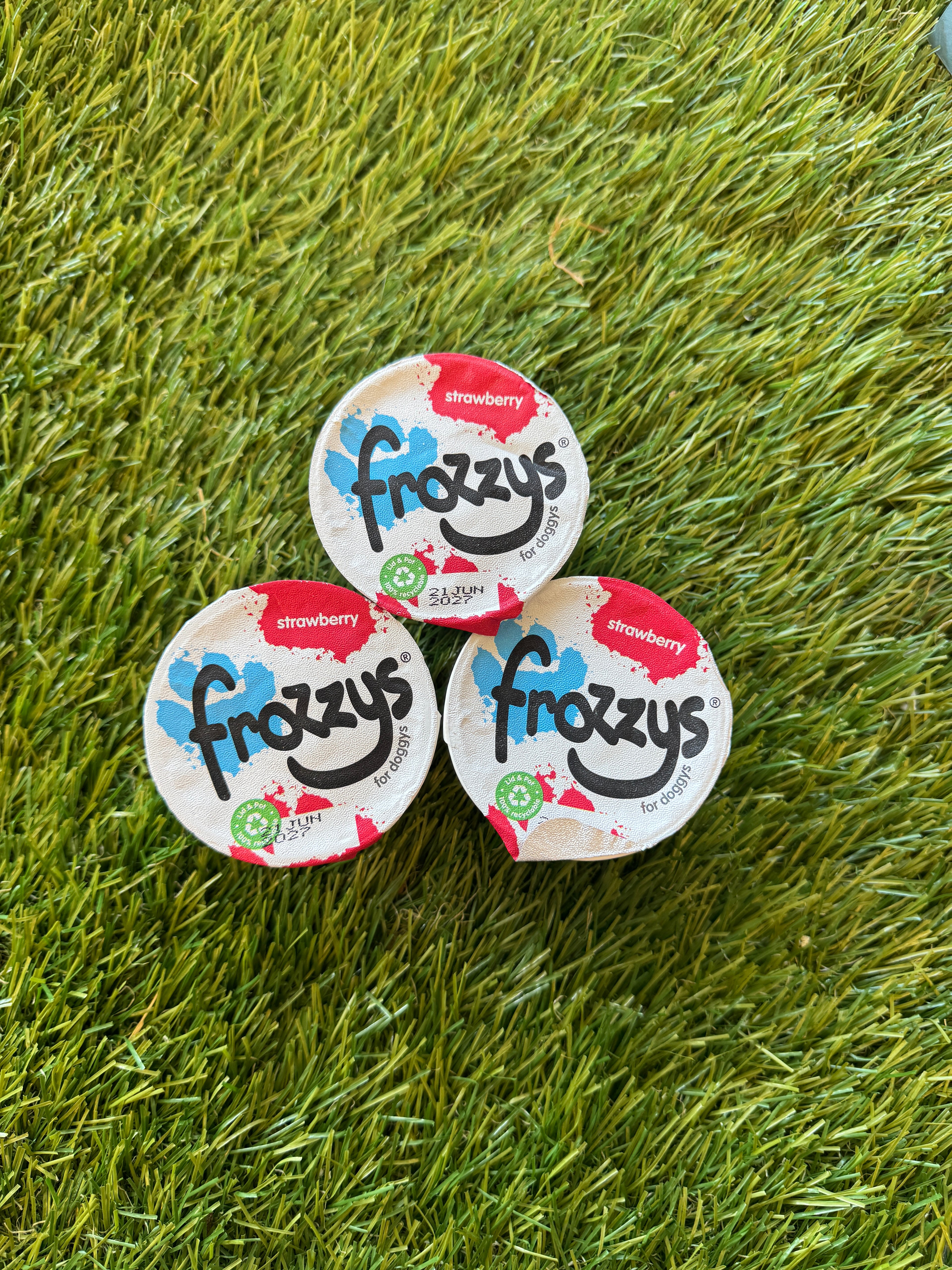 Frozzys Strawberry Frozen Yogurt for Dogs