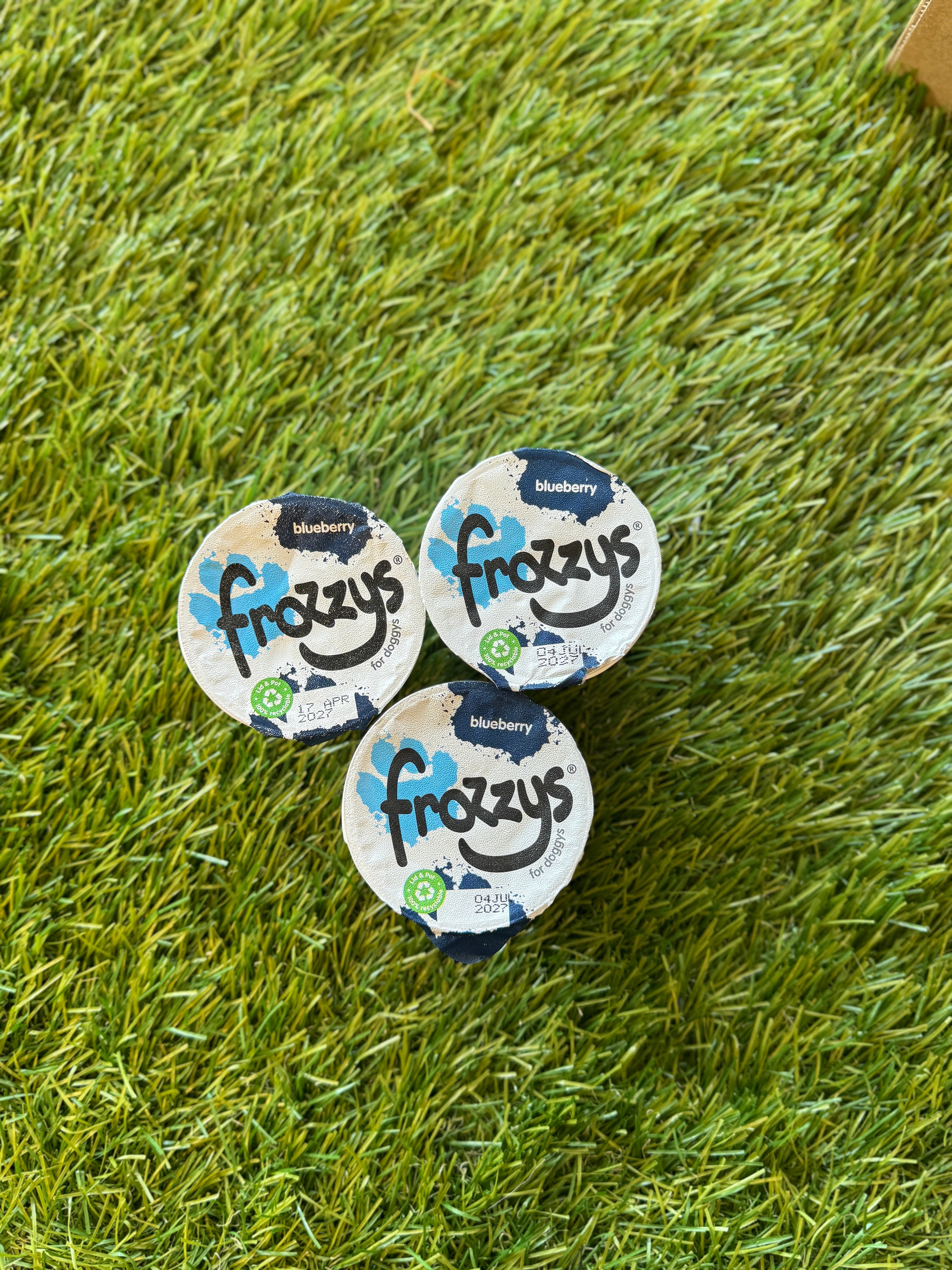 Frozzys Blueberry Frozen Yogurt for Dogs