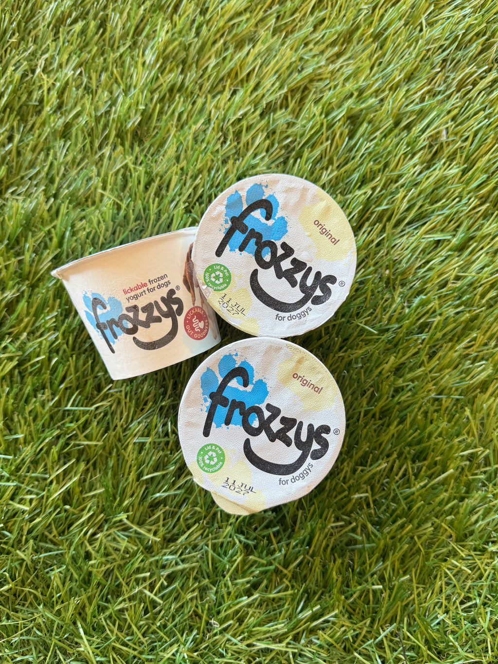 Frozzys original frozen yogurt for dogs