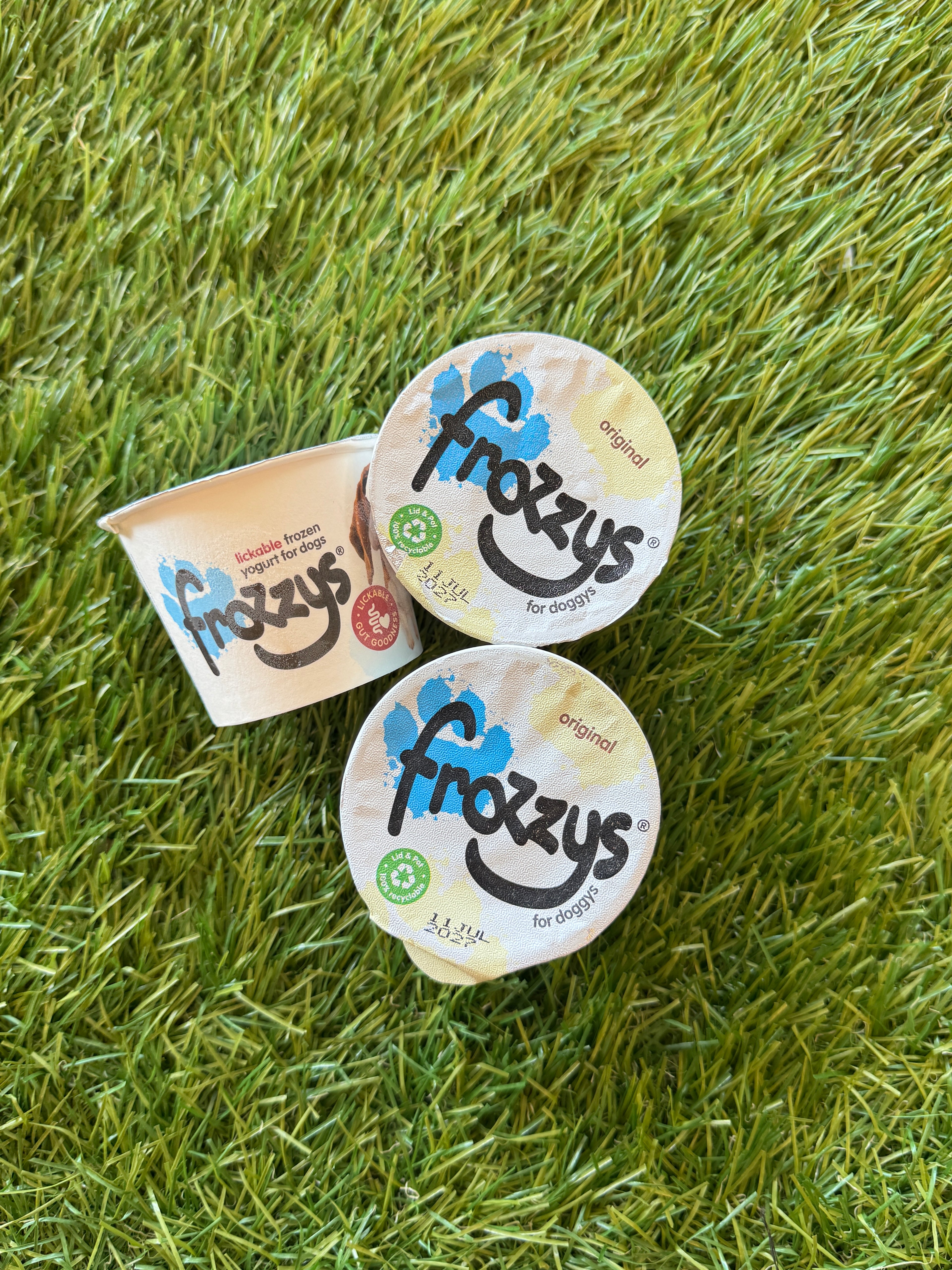 Frozzys original frozen yogurt for dogs