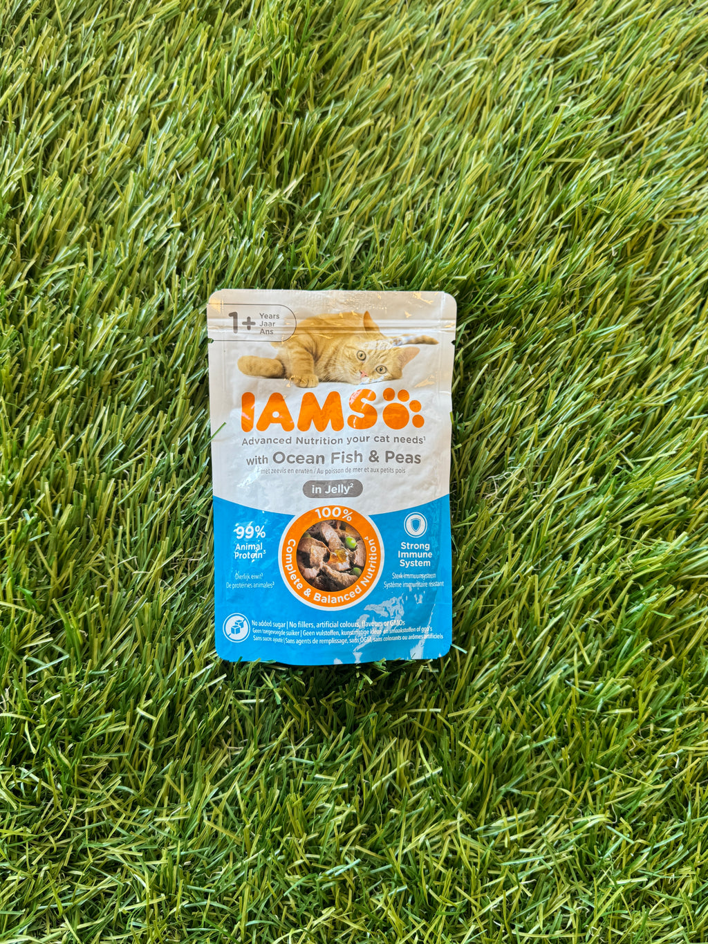 IAMS WET CAT FOOD