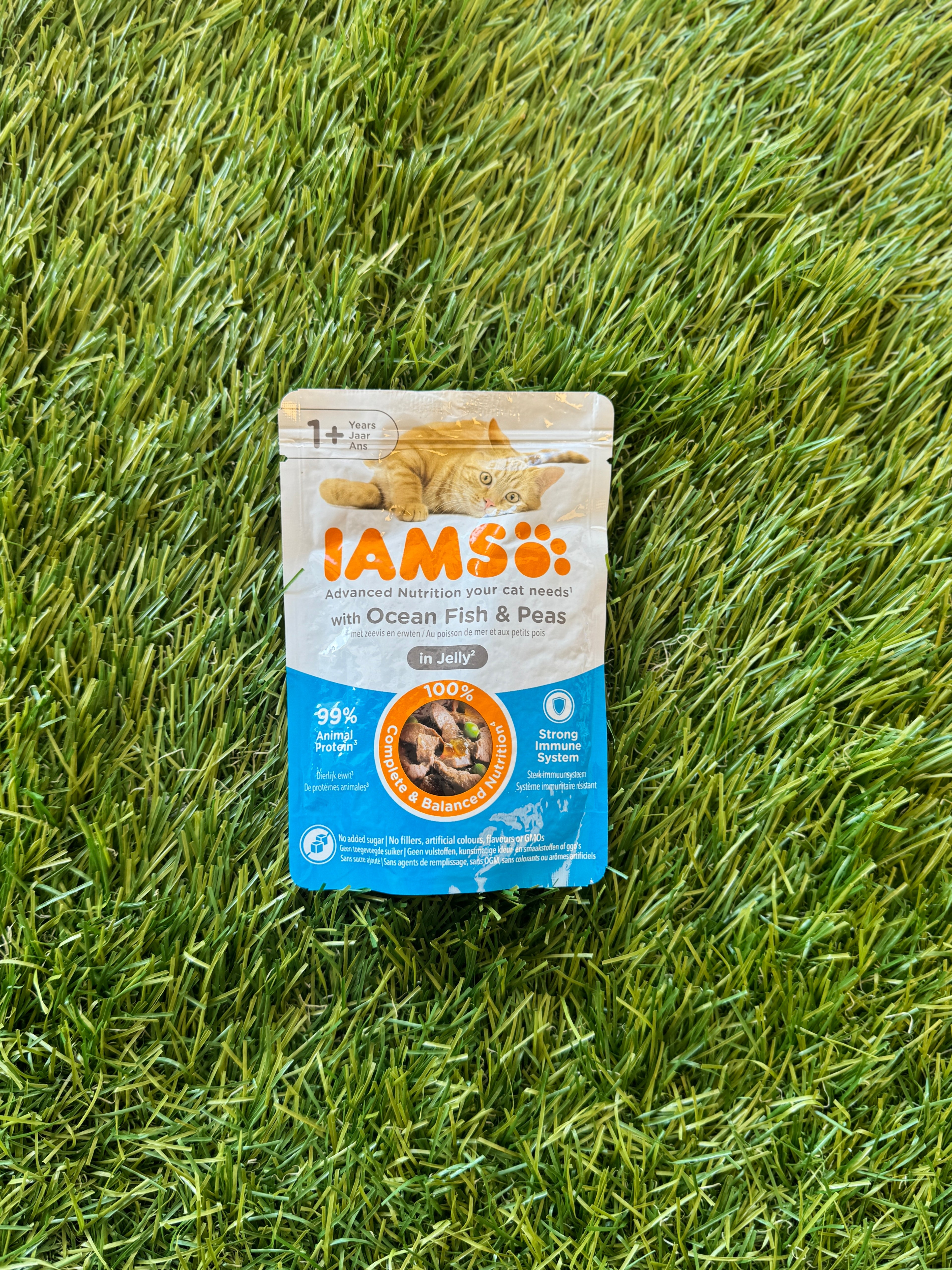 IAMS WET CAT FOOD