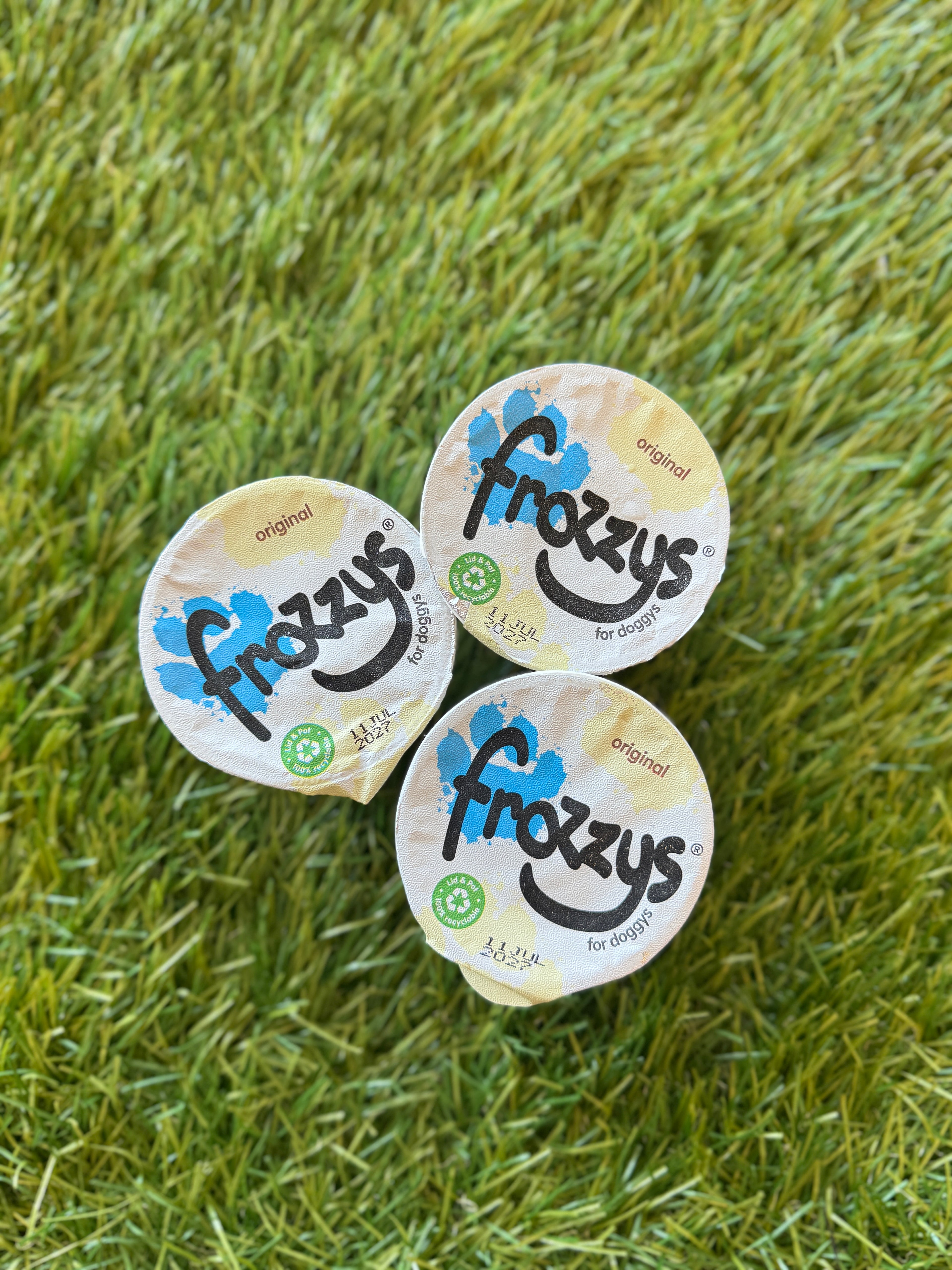 Frozzys original frozen yogurt for dogs