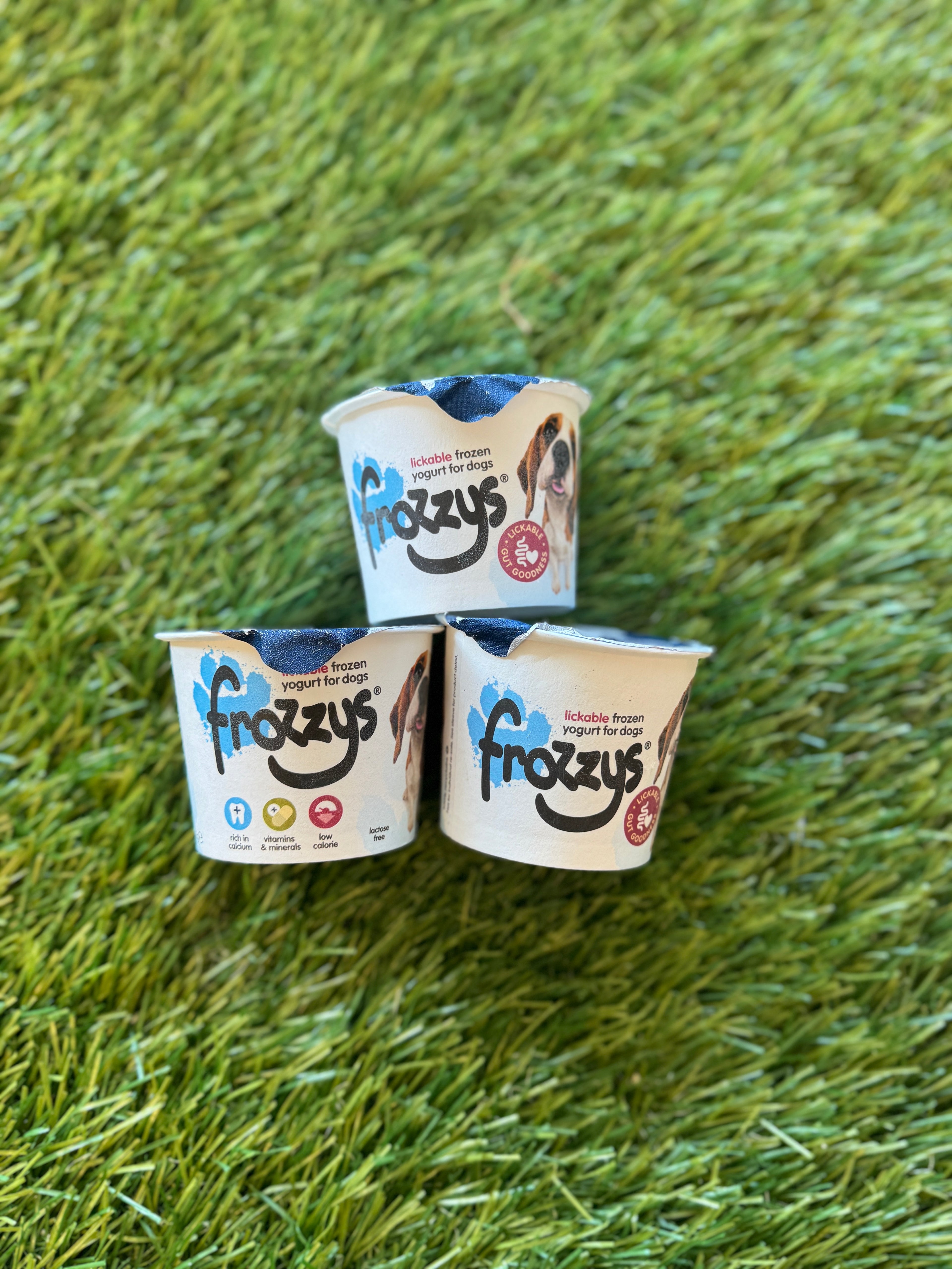 Frozzys Blueberry Frozen Yogurt for Dogs
