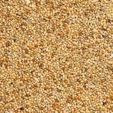 1kg Budgie Seed