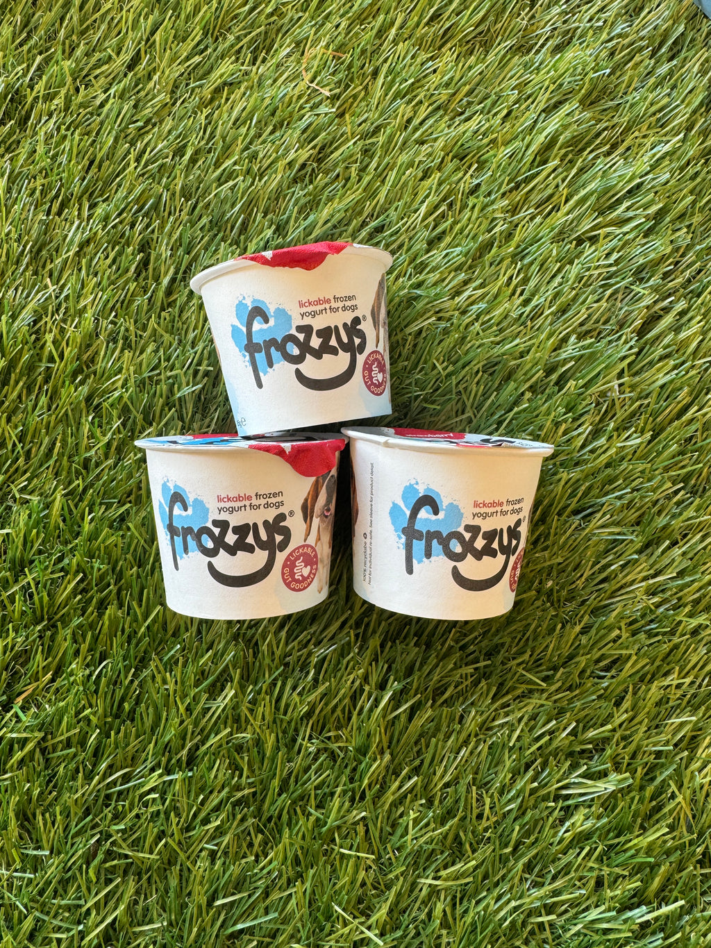 Frozzys Strawberry Frozen Yogurt for Dogs