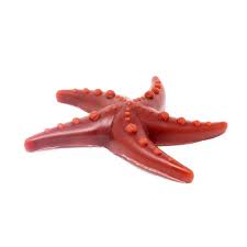 Dog Treat Starfish