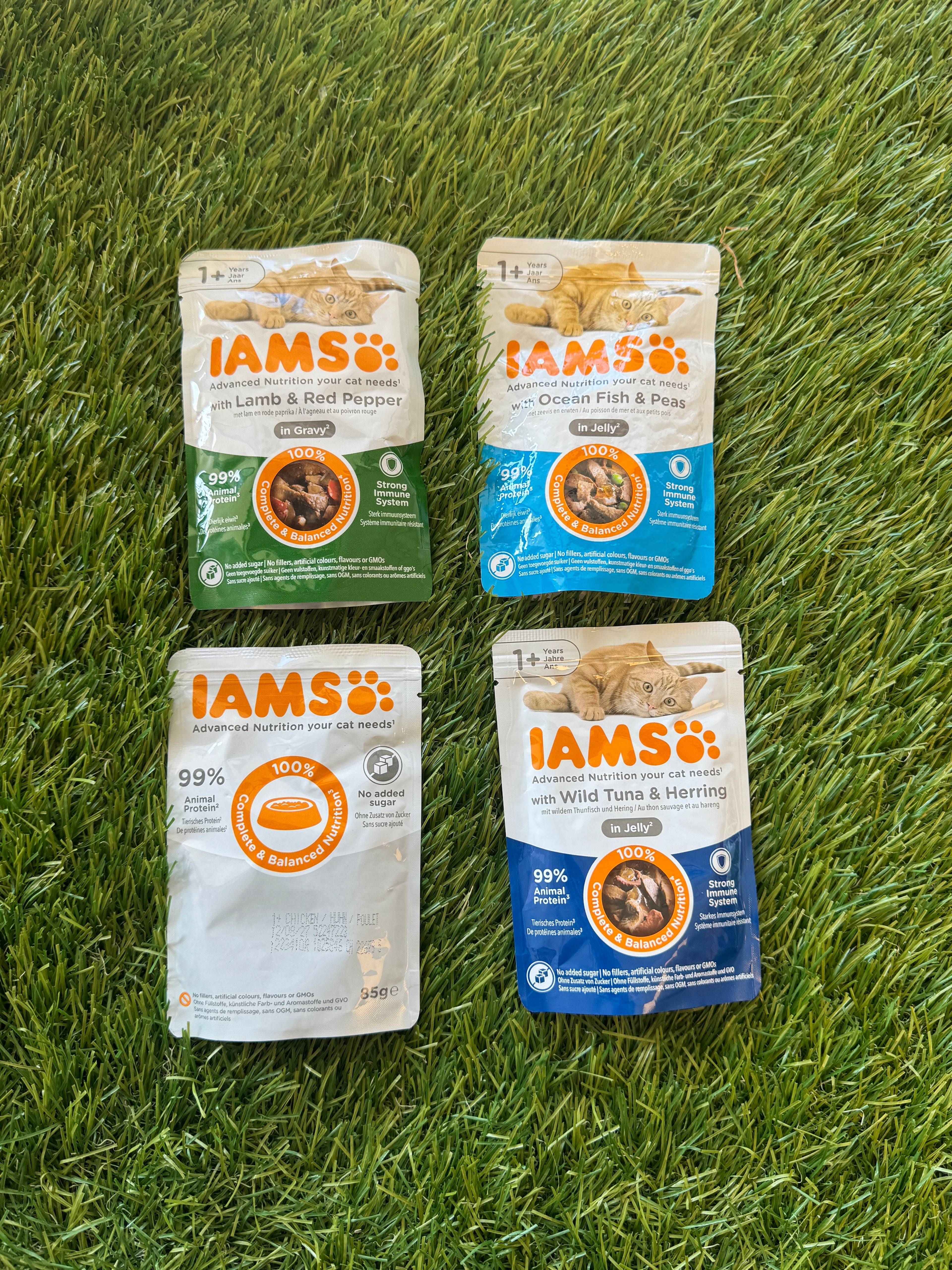 IAMS WET CAT FOOD