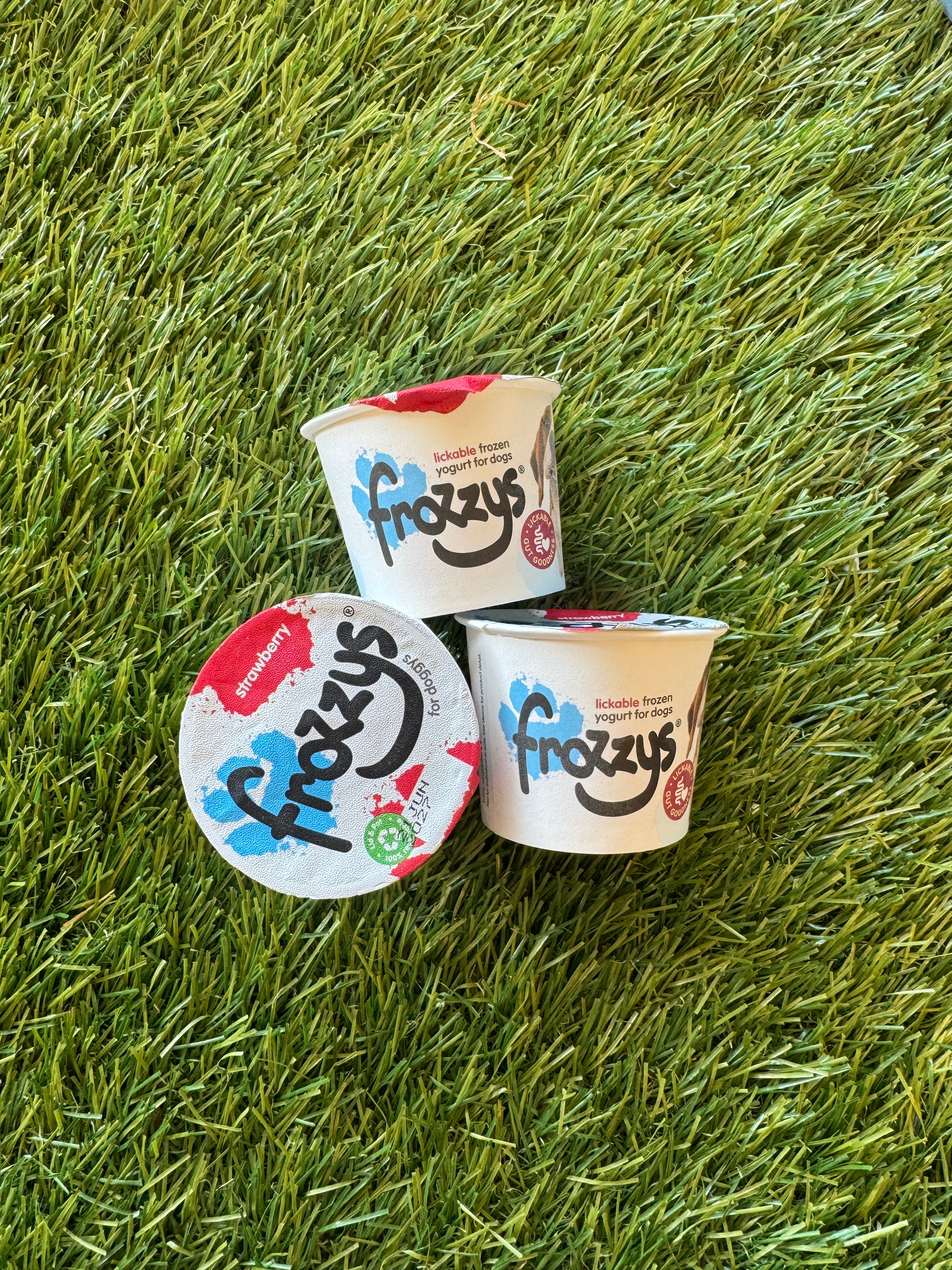 Frozzys Strawberry Frozen Yogurt for Dogs