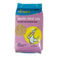 Exotic Bird mix Cockertiel and Parakeet