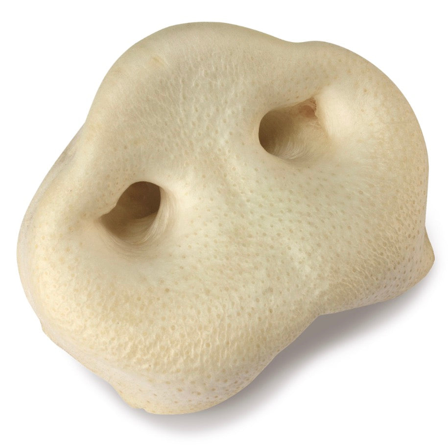 Pigs Snout Puffed Single