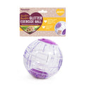 Boredom Breaker Glitter Hamster Ball