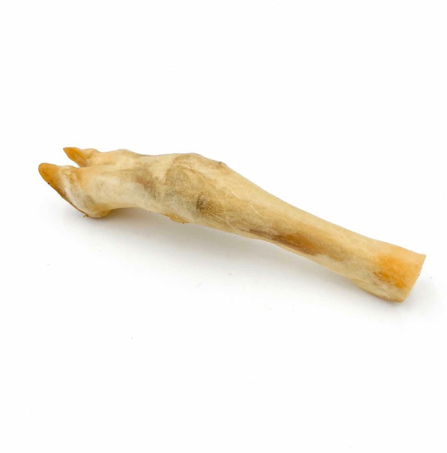 Lamb Leg