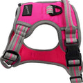 Hem and Boo Sports Dog Harness - Pink - Small
