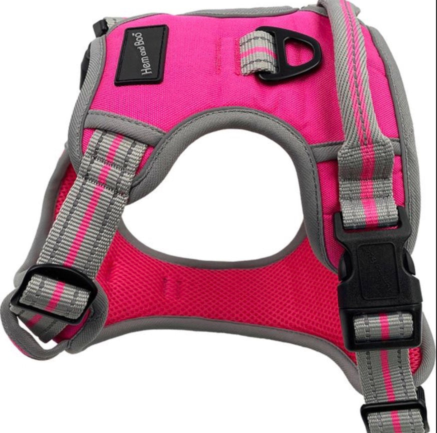 Hem & Boo Harness - Pink - M