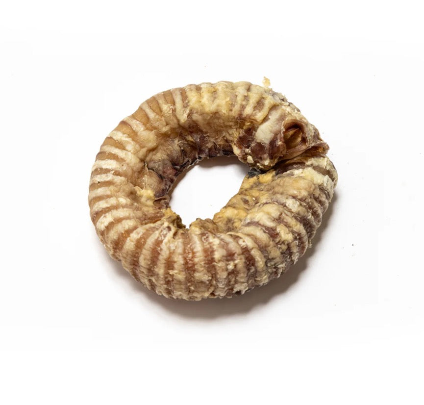 Round Trachea