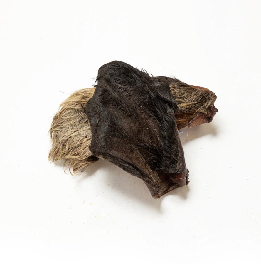 Cows Ears
