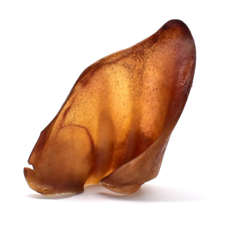 Pig Ears