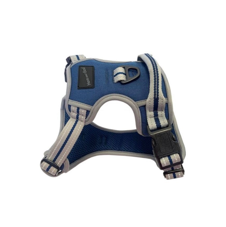 Hem and Boo sports harness blue LARGE