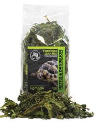 KOMODO TORTOISE FRUIT MIX 80G