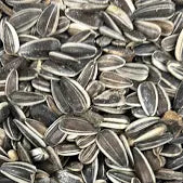 1KG SUNFLOWER SEEDS