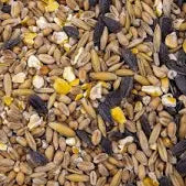 1KG WILD BIRD SEED