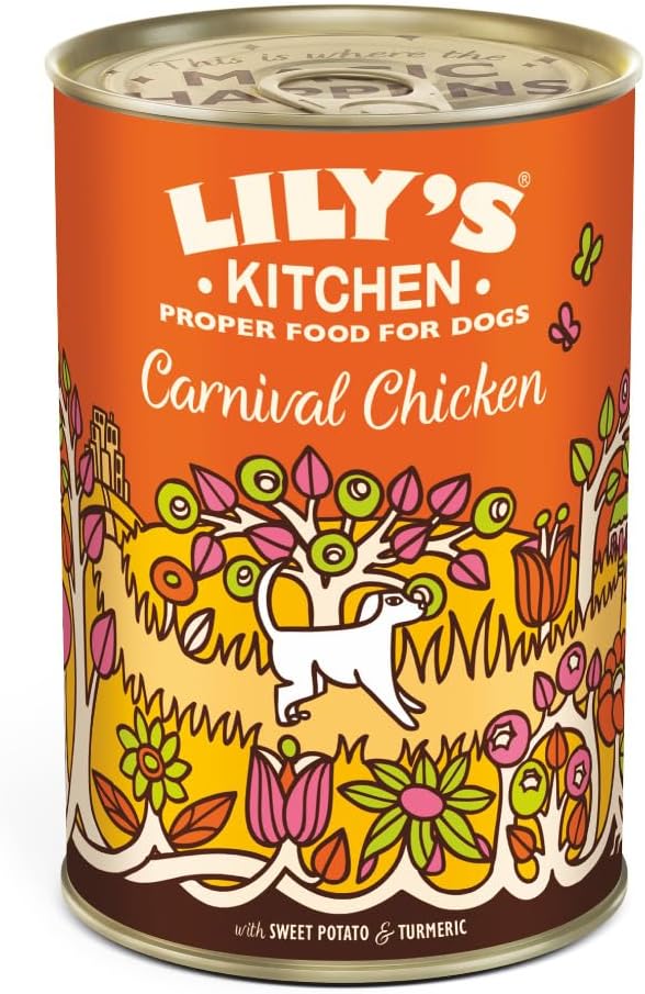 Carnival Chicken Tin 400g